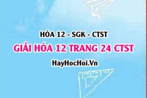 Giải Hóa 12 trang 24 Chân trời sáng tạo SGK